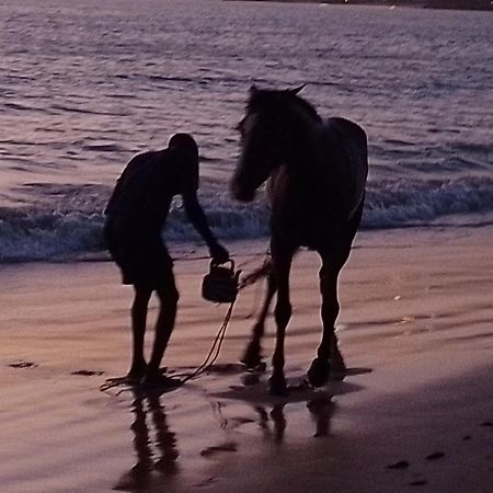 Paradisplage, 1 Minute De La Mer Saly Portudal Dış mekan fotoğraf