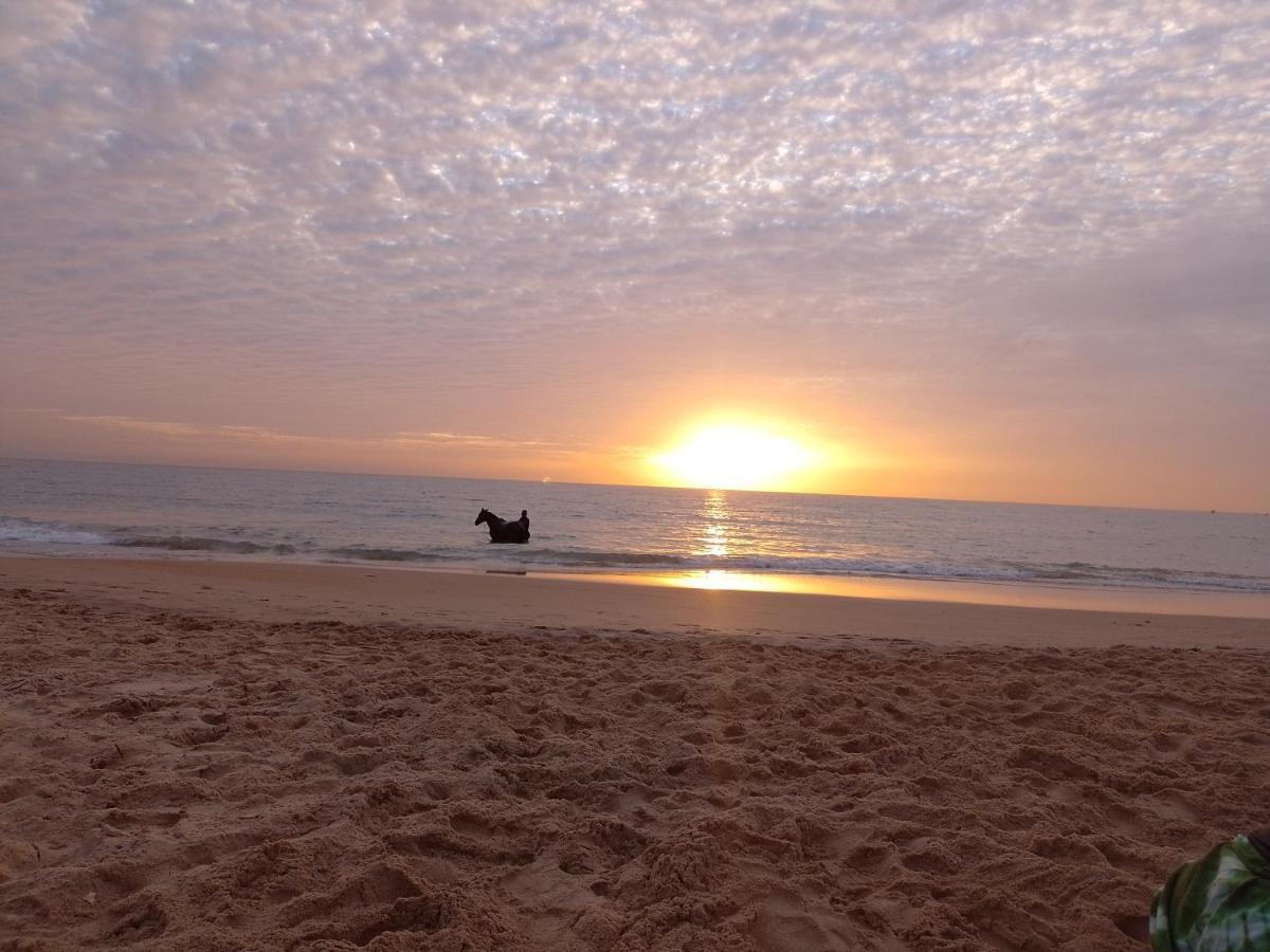 Paradisplage, 1 Minute De La Mer Saly Portudal Dış mekan fotoğraf